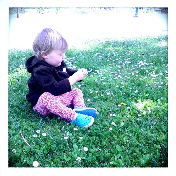 picking flowers