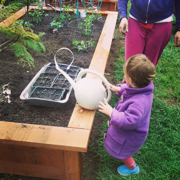 planting in our garden