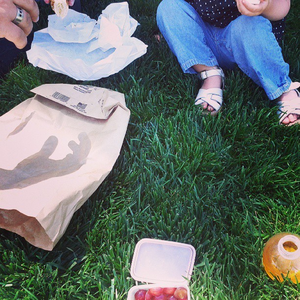 train picnic