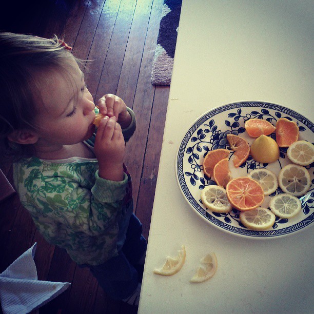 Citrus tasting