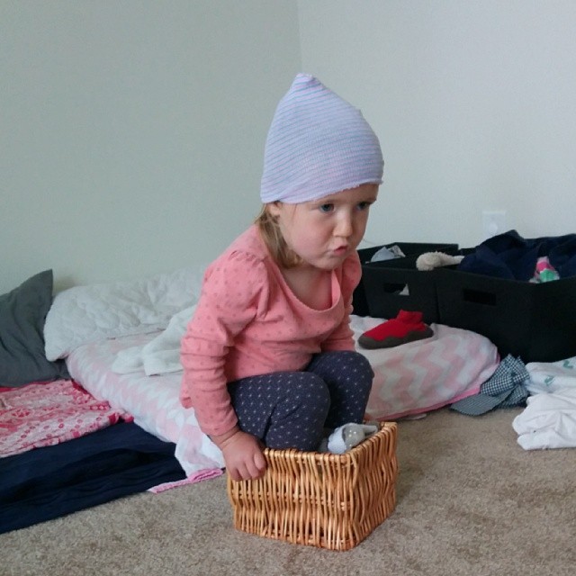 in a basket