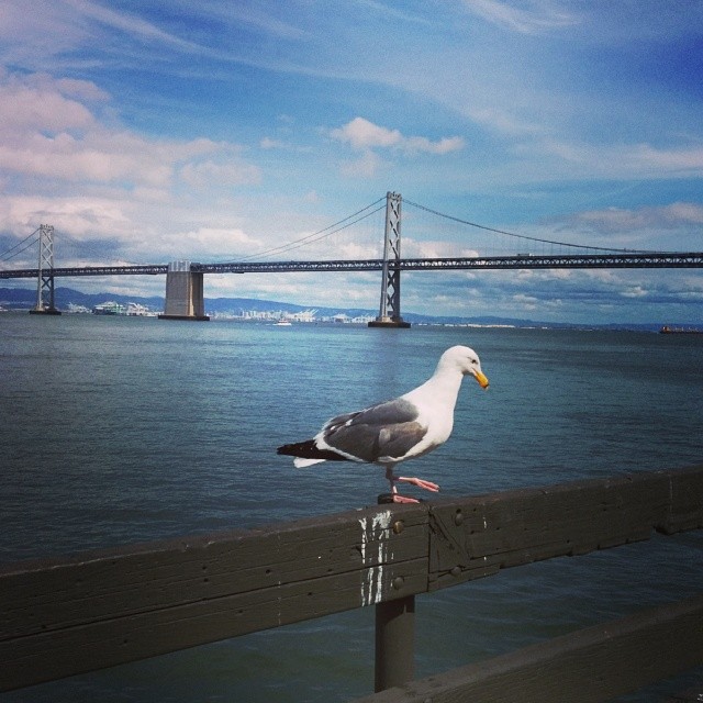 walking around the ferry building