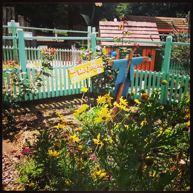Mr. McGregor's garden at Fairyland