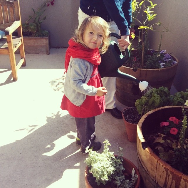 Watering plants