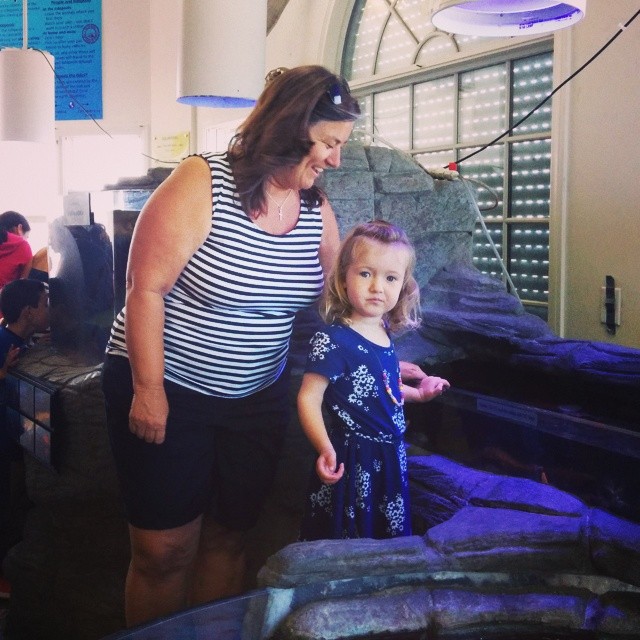 touch tanks in pier aquarium