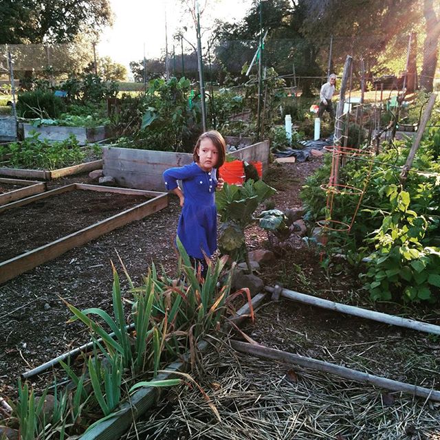 Keeping a garden is really tough. But we still love it.