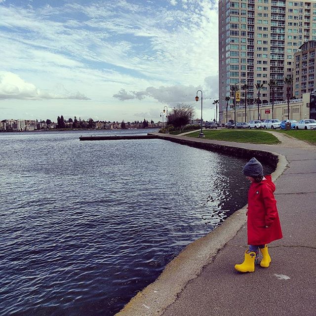 lake side, on our way to the library