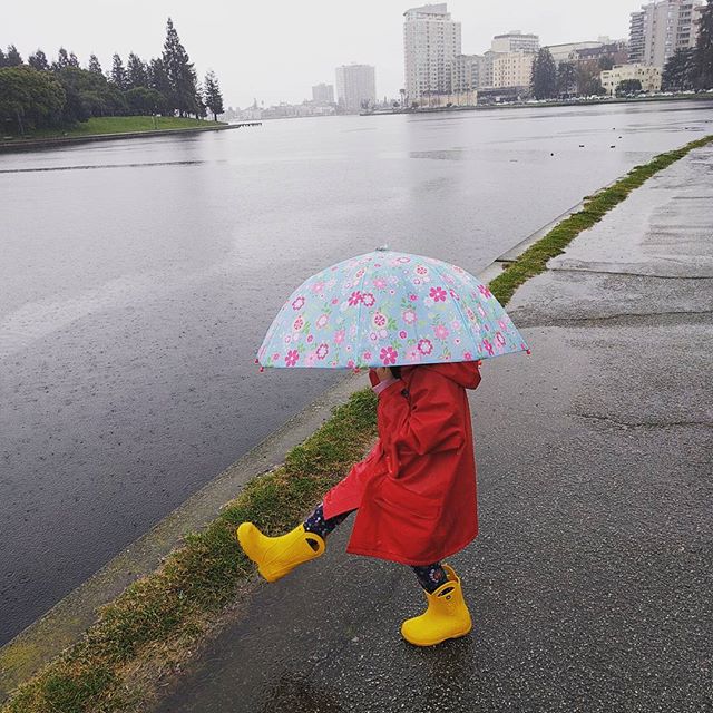 Lake Merritt in the rain