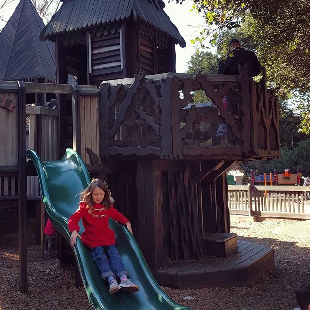 Playing at Frog Park for the first time on this New Year's Day. May be the best park in East Bay.